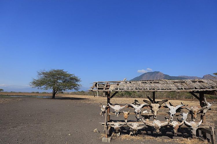 Taman Nasional Baluran